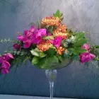 Yrityksen 3 kuva PIRKKALAN KUKKAPALVELU OY  Pirkkala 11