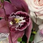 Yrityksen 4 kuva PIRKKALAN KUKKAPALVELU OY  Pirkkala 11