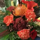 Yrityksen 6 kuva PIRKKALAN KUKKAPALVELU OY  Pirkkala 11