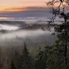 Yrityksen 1 kuva PK-PUU RAISIO  Raisio 19