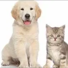 Yrityksen 3 kuva POHJANTÄHTI KESKINÄINEN VAKUUTUSYHTIÖ KOKKOLA Vahinkovakuutusyhtiöt  Kokkola 07