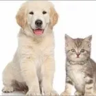 Yrityksen 2 kuva POHJANTÄHTI KESKINÄINEN VAKUUTUSYHTIÖ ROVANIEMI  Rovaniemi LL