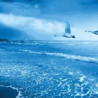 Yrityksen 3 kuva PRIMO FINLAND Muovilevyjen, -kalvojen, -putkien ja -profiilien valmistus  Vaasa 12