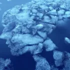 Yrityksen 1 kuva PSYKOTERAPEUTTI SIRPA PRUSTI Muu terveyspalvelu  Seinäjoki 03