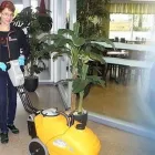 Yrityksen 3 kuva PUHTAANVALKOINEN OY Kiinteistöjen siivous  Helsinki 18