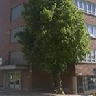 Yrityksen 1 kuva RAMBOLL FINLAND OY KOTKA  Kotka 09