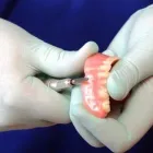 Yrityksen 2 kuva SATUHAMMAS OY Hammaslääkäripalvelut  Vantaa 18