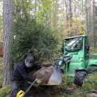 Yrityksen 2 kuva SMP ARBORISTIT OY Metsätaloutta palveleva toiminta  Tampere 11