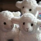 Yrityksen 1 kuva SP-LAHJAT KY Lahjatavaroiden ja askartelutarvikkeiden vähittäiskauppa  Himanka 14