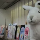 Yrityksen 3 kuva SP-LAHJAT KY Lahjatavaroiden ja askartelutarvikkeiden vähittäiskauppa  Himanka 14