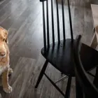 Yrityksen 4 kuva STEMMA OULU  Oulu 14