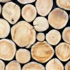 Yrityksen 1 kuva SUOMEN METSÄKESKUS, POHJOINEN PALVELUALUE OULAINEN  Oulainen 14