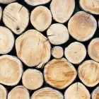 Yrityksen 2 kuva SUOMEN METSÄKESKUS, POHJOINEN PALVELUALUE VIHANTI  Vihanti 14