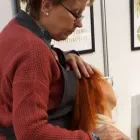 Yrityksen 1 kuva TÄHTIVYÖHYKE Kylpylaitokset, saunat, solariumit yms. palvelut  Vantaa 18