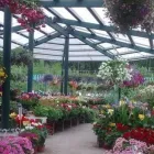 Yrityksen 1 kuva TAIMIMAA Kukkien ja taimien tukkukauppa  Espoo 18