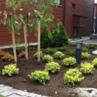 Yrityksen 2 kuva TAMPEREEN VIHERRAKENNUS OY Maisemanhoitopalvelut  Tampere 11