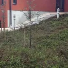 Yrityksen 3 kuva TAMPEREEN VIHERRAKENNUS OY Maisemanhoitopalvelut  Tampere 11