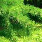 Yrityksen 1 kuva TAPIO PALVELUT OY  Helsinki 18