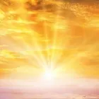 Yrityksen 1 kuva TERAPIA PIHLAPUU  Vantaa 18