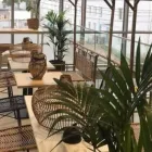 Yrityksen 1 kuva THAI PAPAYA LAAJASALO  Helsinki 18