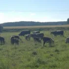 Yrityksen 2 kuva TIENSUUN TILA  Tarvasjoki 19