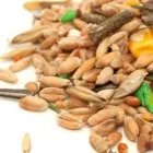 Yrityksen 2 kuva TIETÄVÄINEN ENTERPRISES OY  Espoo 18