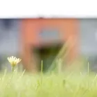 Yrityksen 3 kuva TILIALAKÄRPPÄ OY Kirjanpito- ja tilinpäätöspalvelu  Oulu