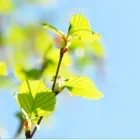 Yrityksen 2 kuva TILITOIMISTO LINKKI OY Kirjanpito- ja tilinpäätöspalvelu  Kokkola 07