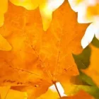 Yrityksen 3 kuva TILITOIMISTO LINKKI OY Kirjanpito- ja tilinpäätöspalvelu  Kokkola 07