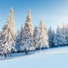 Yrityksen 5 kuva TILITOIMISTO LINKKI OY Kirjanpito- ja tilinpäätöspalvelu  Kokkola 07