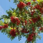 Yrityksen 6 kuva TILITOIMISTO LINKKI OY Kirjanpito- ja tilinpäätöspalvelu  Kokkola 07