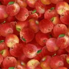 Yrityksen 2 kuva TILKKUTARHA.FI Vaatteiden postimyynti ja verkkokauppa  Vantaa 18