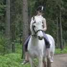 Yrityksen 2 kuva TOLKINKYLÄN RATSASTUSKOULU Muualla luokittelematon huvi- ja virkistystoiminta  Vantaa 18