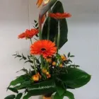 Yrityksen 5 kuva TÖÖLÖNTORIN KUKKA  Helsinki 18