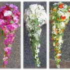 Yrityksen 7 kuva TÖÖLÖNTORIN KUKKA  Helsinki 18