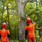 Yrityksen 2 kuva TOURAN PUU-APU OY Rautateiden ja metrolinjojen rakentaminen  Kantele 18