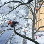 Yrityksen 3 kuva TOURAN PUU-APU OY Rautateiden ja metrolinjojen rakentaminen  Kantele 18