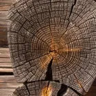 Yrityksen 1 kuva TR-RAKENNE OY Asuin- ja muiden rakennusten rakentaminen  Kouvola 09