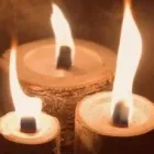 Yrityksen 5 kuva UTEMAN OY Turkistarhaus  Himanka 14