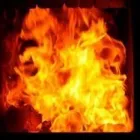 Yrityksen 6 kuva UTEMAN OY Turkistarhaus  Himanka 14