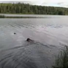 Yrityksen 1 kuva VALAJÄRVEN KARTANO  Tursa 11