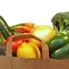 Yrityksen 1 kuva VIHANNESLINJA OY  Tampere 11