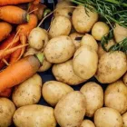 Yrityksen 2 kuva VIHANNESLINJA OY  Tampere 11