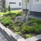 Yrityksen 1 kuva VIHERKONSULTOINTI PETRI KUJALA Yhdyskuntasuunnittelu  Tampere 11