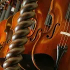 Yrityksen 3 kuva WOODWINDS KY  Perniö 19