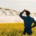 Yrityksen 2 kuva YARA SUOMI OY, KOKKOLAN TEHTAAT Lannoitteiden ja typpiyhdisteiden valmistus  Kokkola 07