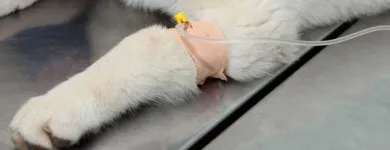 Yrityksen 1 kuva ALFAPET ELÄINLÄÄKÄRIT OY Eläinlääkintäpalvelut  Espoo 18