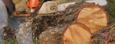 Yrityksen 2 kuva ARIN PIENKONEKAIVU OY Rakennuspaikan valmistelutyöt  Espoo 18