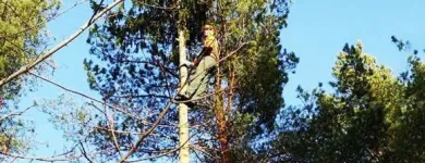 Yrityksen 5 kuva ARIN PIENKONEKAIVU OY Rakennuspaikan valmistelutyöt  Espoo 18