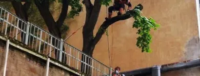 Yrityksen 9 kuva ARIN PIENKONEKAIVU OY Rakennuspaikan valmistelutyöt  Espoo 18